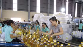 Thêm 5 cụm công nghiệp có quyết định thành lập tại Long An