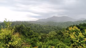 Lập Hội đồng thẩm định Nhiệm vụ lập Quy hoạch lâm nghiệp quốc gia