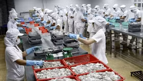 DN thủy sản vẫn đang vật lộn với kiếp "làm mọi" cho ngân hàng