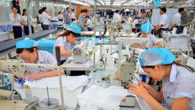 Dệt may Việt Nam là thương nhân hay “người dắt lạc đà”?