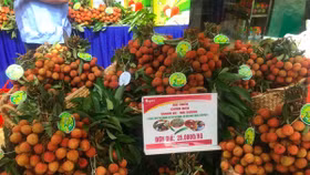 Hapro giới thiệu “Tuần lễ vải thiều Thanh Hà – Hải Dương tại Hà Nội”