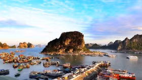 "Phong tỏa" không cho giới đầu cơ tạo bong bóng bất động sản tại 3 đặc khu kinh tế