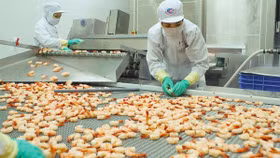 Xuất khẩu tôm nhắm mốc 10 tỷ USD