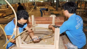 Kinh doanh không khả quan, "Vua" Gỗ Trường Thành phải giải thể hai công ty con