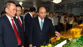 Hôm nay Thủ tướng đối thoại với nông dân: Dân hỏi, Thủ tướng trả lời, Chính phủ hành động