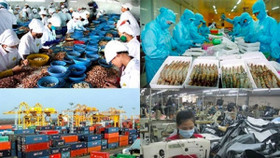 ADB dự báo kinh tế Việt Nam tăng trưởng 7,1%