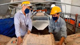 TP.HCM sẽ di dời toàn bộ cảng trên sông Sài Gòn