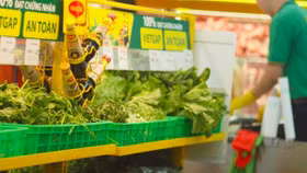 CEO Thế giới di động: Chúng tôi phải giải 3 bài toán quan trọng này để khách hàng tại TP.HCM chỉ mất 5- 7 phút đi bộ để thấy Bách Hoá Xanh