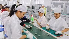 Tại sao có hiện tượng dòng vốn Hàn Quốc dịch chuyển từ Trung Quốc sang Việt Nam?