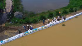 Chủ tịch huyện Chương Mỹ: "Không lo vỡ đê tả Bùi"