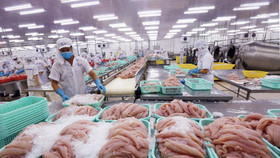 6 tháng đầu năm, xuất khẩu thủy sản đạt gần 4 tỷ USD