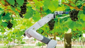 Robot ùa vào ngành nông nghiệp
