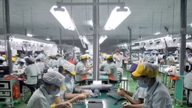 Gia công hàng hóa: Doanh nghiệp Việt chủ yếu làm thuê