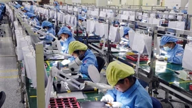 Nghị quyết 19 thành Nghị quyết 02 và chỉ đạo của Thủ tướng