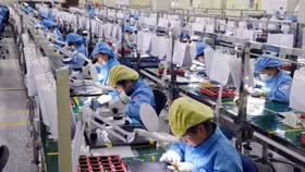 Nghị quyết 19 thành Nghị quyết 02 và chỉ đạo của Thủ tướng