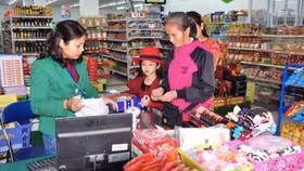 Hà Nội: Khó xảy ra tình trạng ‘khan hàng, sốt giá’ dịp Tết