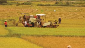 6 điểm nhấn lớn trong bức tranh ngành nông nghiệp Việt Nam
