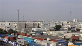 Gần 500.000 tấn điều kẹt cảng, doanh nghiệp như ngồi trên lửa