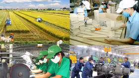 Đã nhìn thấy nút thắt kìm hãm phát triển