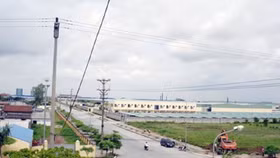 Chính phủ quyết định lập Khu kinh tế Thái Bình