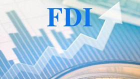 30 năm FDI vào Việt Nam: Hai mặt của dòng vốn