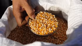 Vì sao doanh nghiệp Trung Quốc thâu tóm hàng loạt công ty nông nghiệp lớn?