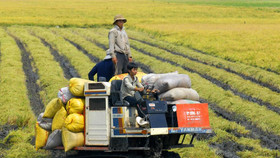 Nông nghiệp Trung Quốc mất dần thị phần