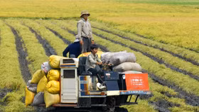 Nông nghiệp Trung Quốc mất dần thị phần