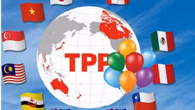 Quyết tâm có một TPP "không Mỹ"