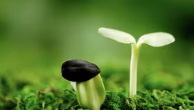 Đến năm 2025, Hà Nội sẽ hỗ trợ cho 500 dự án khởi nghiệp