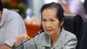 Bà Phạm Chi Lan: Lùi Dự Luật Đặc khu là một trong những quyết định sáng suốt nhất