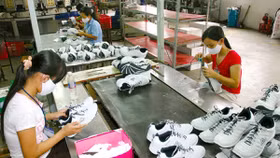 CPTPP thông qua, giá nhiều cổ phiếu tăng mạnh