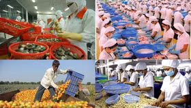 Thị trường xuất khẩu nông sản: Khó khăn chưa giảm