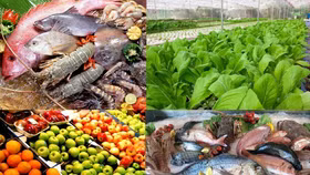 An toàn thực phẩm lại "nóng" nghị trường