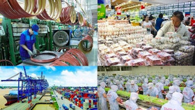 IMF: Kinh tế Việt Nam nhiều triển vọng tích cực