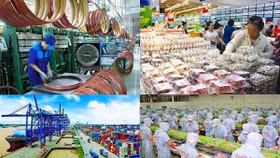 IMF: Kinh tế Việt Nam nhiều triển vọng tích cực