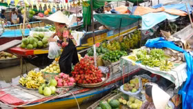 Điều chỉnh quy hoạch vùng đồng bằng sông Cửu Long