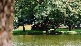 Huế sẽ có Vườn Bách thảo trên sông Hương