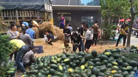 Đã có Cục chuyên lo "đầu ra" cho nông sản