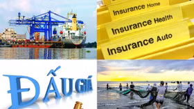 Các chính sách bảo hiểm, thuế, đầu tư có hiệu lực từ 01/7/2017