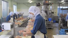 Thịt gà Việt Nam chính thức được xuất sang thị trường Nhật Bản