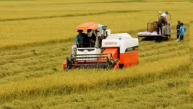 Dành hơn 300 nghìn tỷ để tái cơ cấu nông nghiệp trong 4 năm