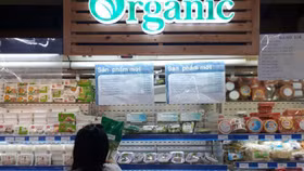 Đắt gấp 2-3 lần, rau 'sạch' vẫn mù mờ chất lượng