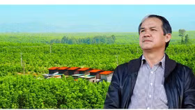 Bách Hoá Xanh sẽ mua toàn bộ trái cây của bầu Đức nếu thị trường có nhu cầu