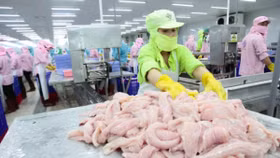 Xoay trục để giảm thách thức cho thủy sản