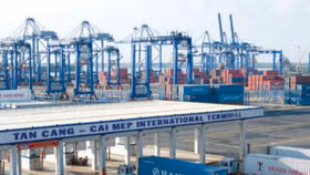 Cảng Cái Mép kiến nghị được quy định là cảng xuất duy nhất cho hàng đi Mỹ và châu Âu