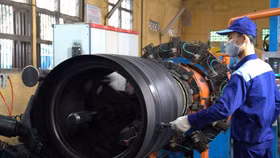 Mất quyền ứng cử vào HĐQT, nhà đầu tư hủy tham gia đấu giá cổ phần Cao su Sao Vàng