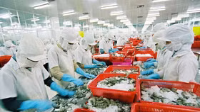 POR14 thất bại, Thuỷ sản Hùng Vương tiếp tục phải bán tài sản