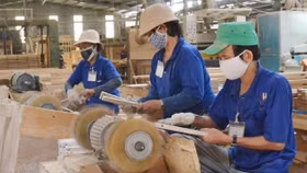 Gỗ Trường Thành: "Quán quân" lỗ quý II/2018