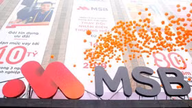 MSB chuẩn bị niêm yết trên HoSE